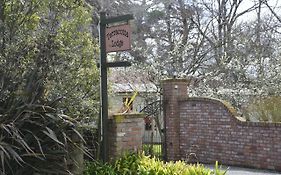 Terracotta Lodge & Cottages